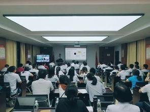 销售开会视频,策略解析与业绩展望