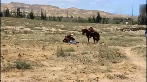 狩猎场视频,揭秘真实狩猎场背后的惊险瞬间