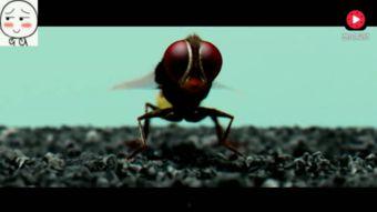 牛人手绘视频,创意无限，艺术与技术的完美融合